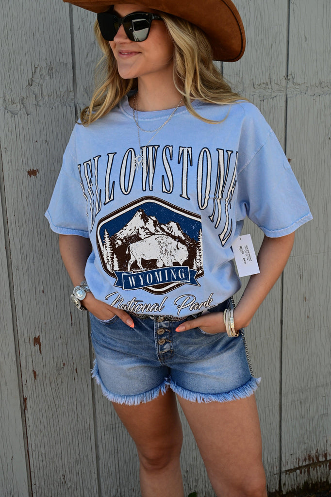 Yellowstone Mineral-Dyed Tee S-XL - West End Boutique